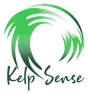 Kelp Sense Logo